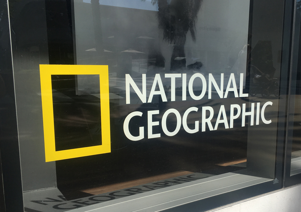 Vinyl Graphics